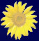 hpjilg_001009.jpg