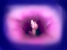 rosablume.jpg